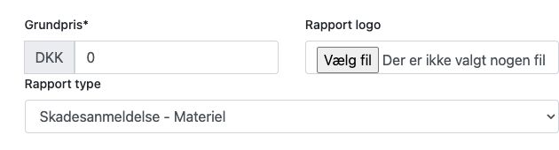 Bred Leader-formular med rapporttype og de automatisk oprettede felter.