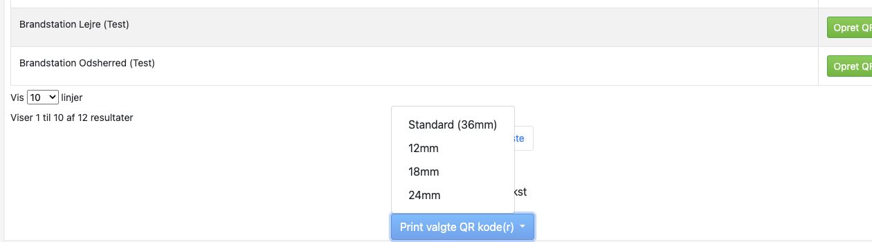 Bred QR-side med valgt station og de tilgængelige labelstørrelser.